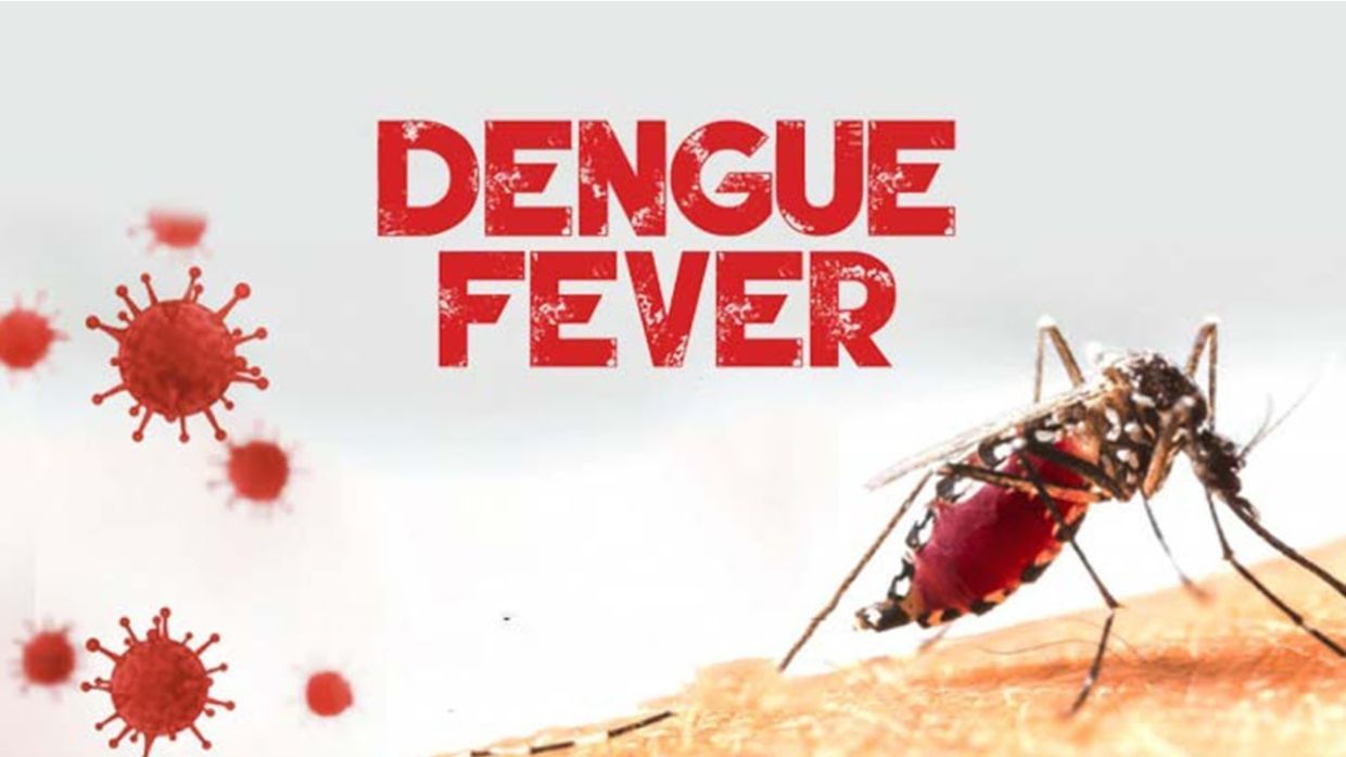 Dengue Fever Outbreak in Mauritius